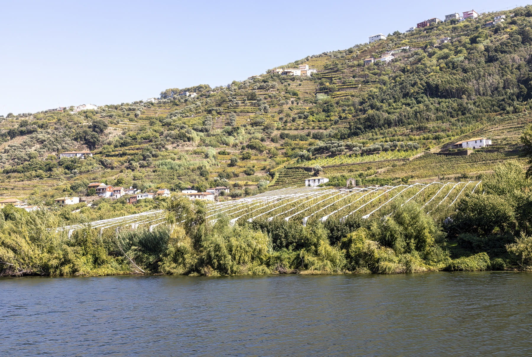 Douro River Cruise Portugal 2023